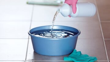 Como a água sanitária acaba com as pulgas