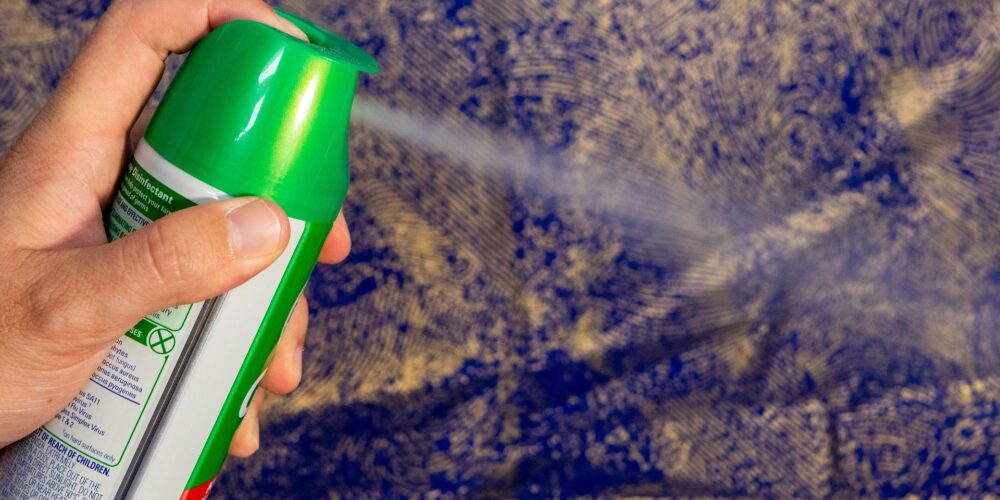 Como acabar com baratas sem spray