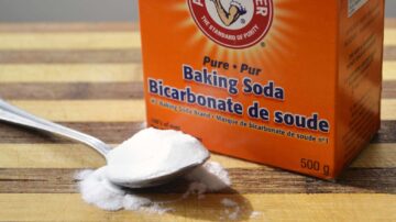 Como eliminar baratas com bicarbonato