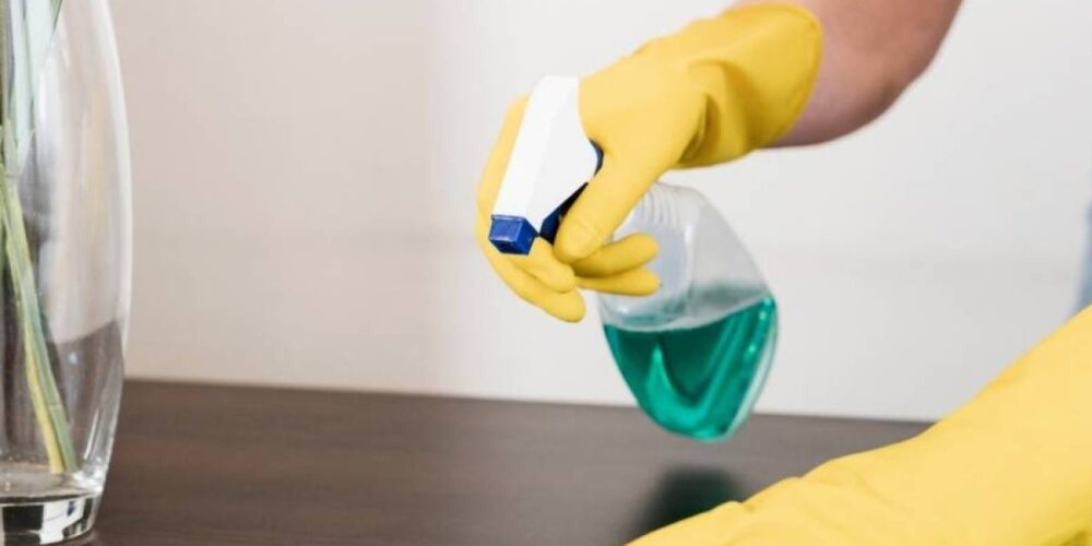Como eliminar baratas com vinagre e detergente