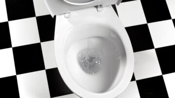 Como evitar sapo no vaso sanitário