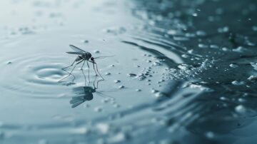 Como matar mosquito mais rápido
