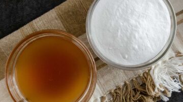 Como remover pulgas de cachorros com vinagre e bicarbonato