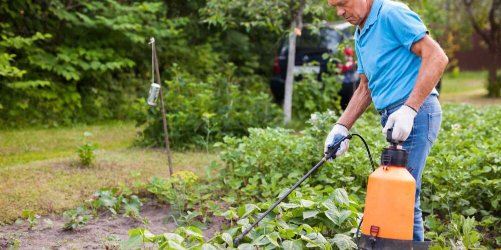 Como usar Lesmicida no quintal