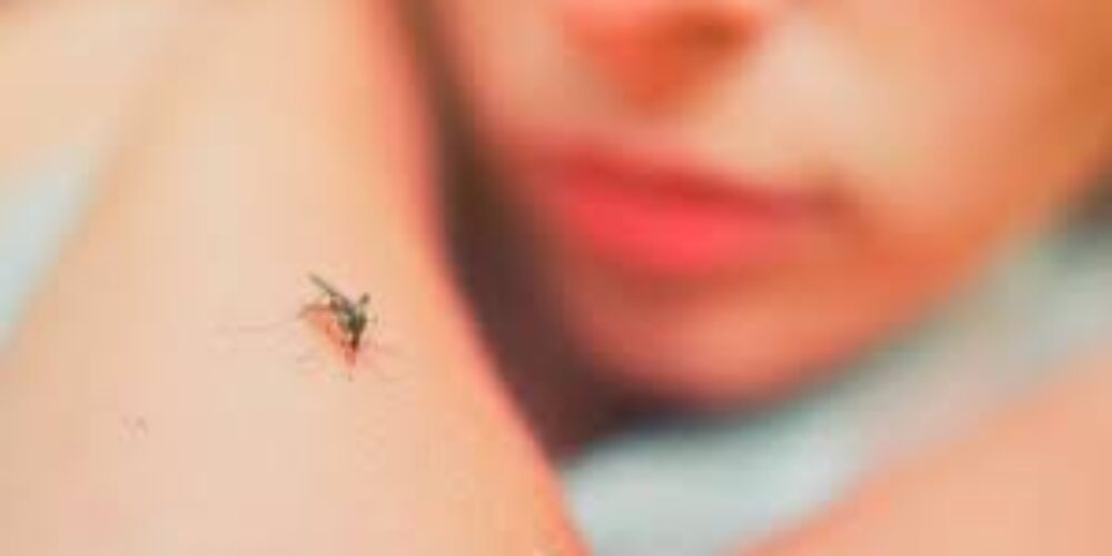 Dengue passa de uma pessoa para outra