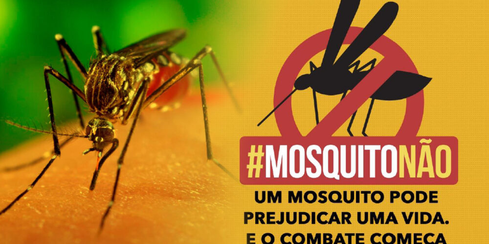 É possível que o mosquito já nasce com o vírus da dengue