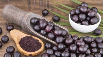 É seguro consumir açaí durante a dengue Dengue e alimentação