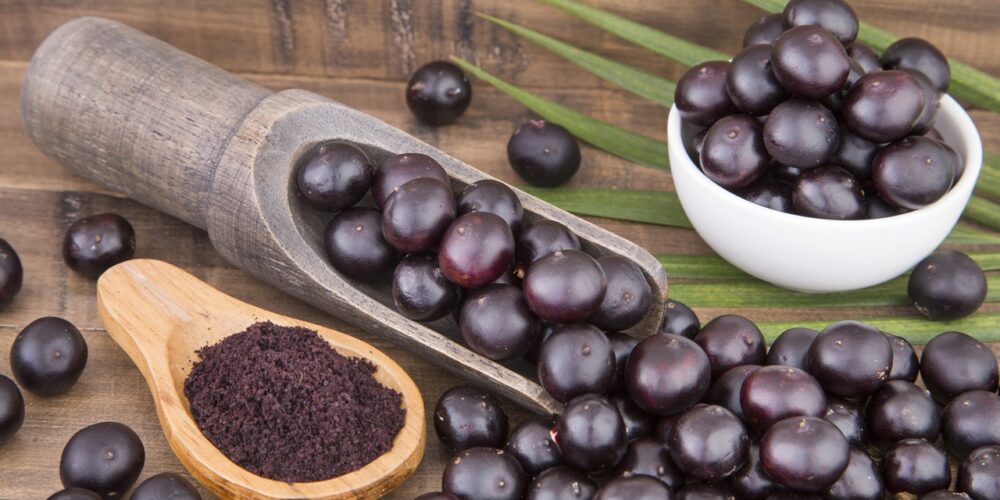 É seguro consumir açaí durante a dengue Dengue e alimentação