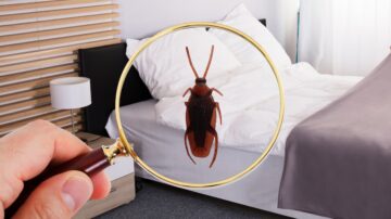 O que posso pulverizar no meu quarto para afastar as baratas