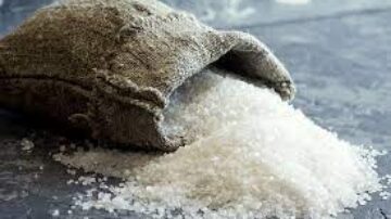 O sal remove os carrapatos