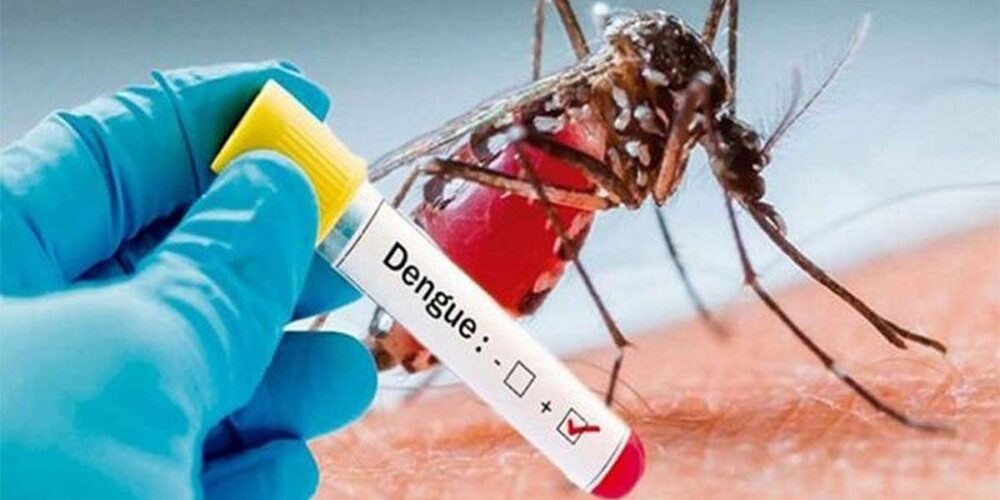 Onde o mosquito da dengue não gosta de ficar