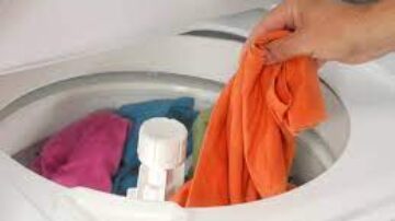 Os carrapatos podem sobreviver à máquina de lavar