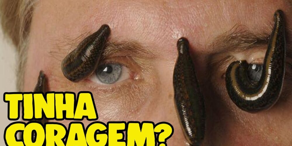 Para que serve sanguessuga no rosto