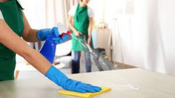 Percevejos de colchão O papel da limpeza e organização na prevenção