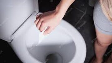 Por que jogar carrapatos no vaso sanitário é uma má ideia