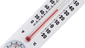 Qual temperatura a pulga morre