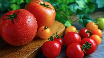 Quem está com dengue pode comer Tomate