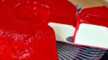 Quem está com dengue pode comer gelatina