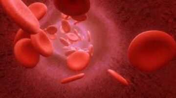 Quem está com dengue pode tomar anticoagulante