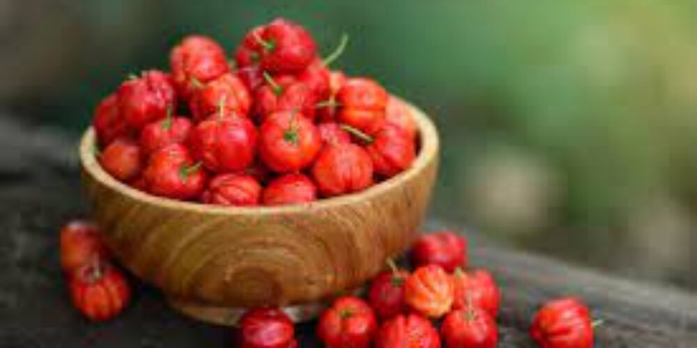 Quem está com dengue pode tomar suco de acerola