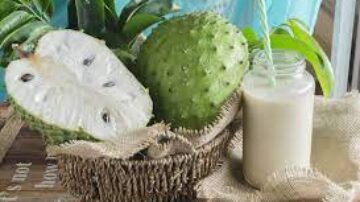 Quem está com dengue pode tomar suco de graviola