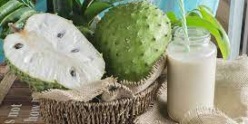 Quem está com dengue pode tomar suco de graviola