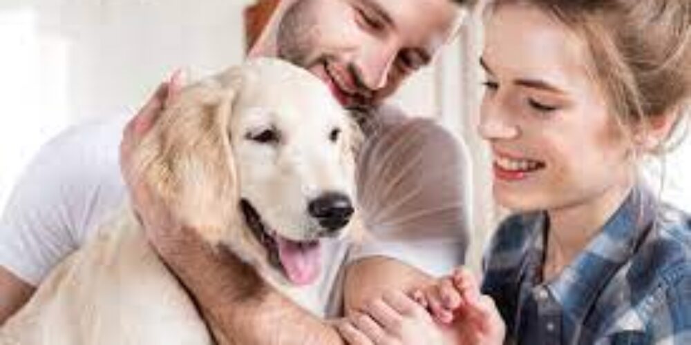 Quem tem cachorro pode dedetizar a casa