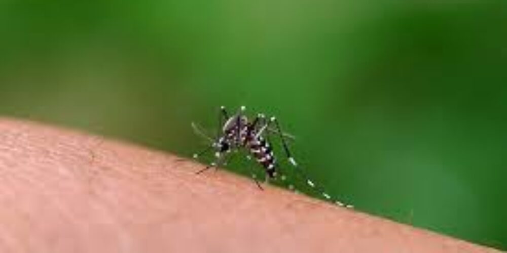 Sangramento de mucosa dengue